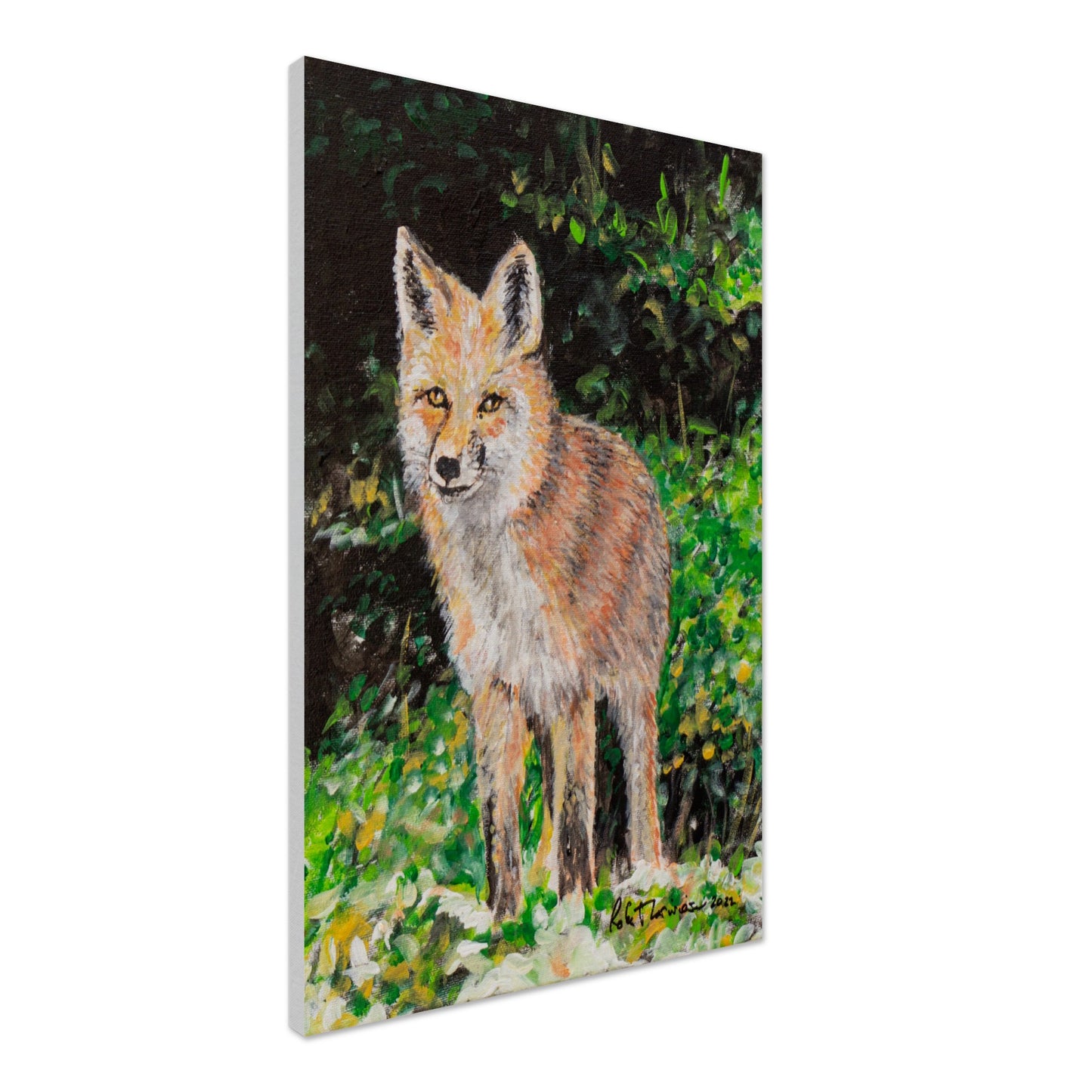 Red Fox - Canvas
