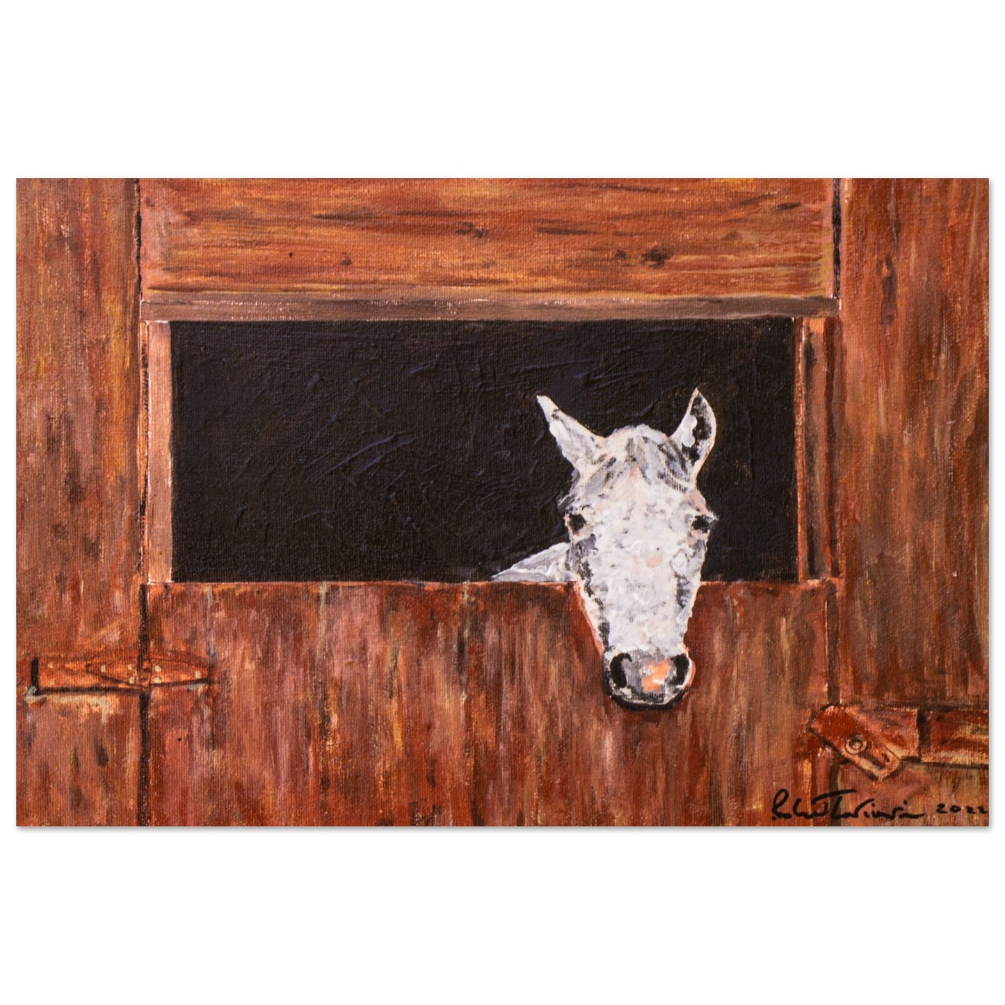 White Horse In Stall - Premium Poster