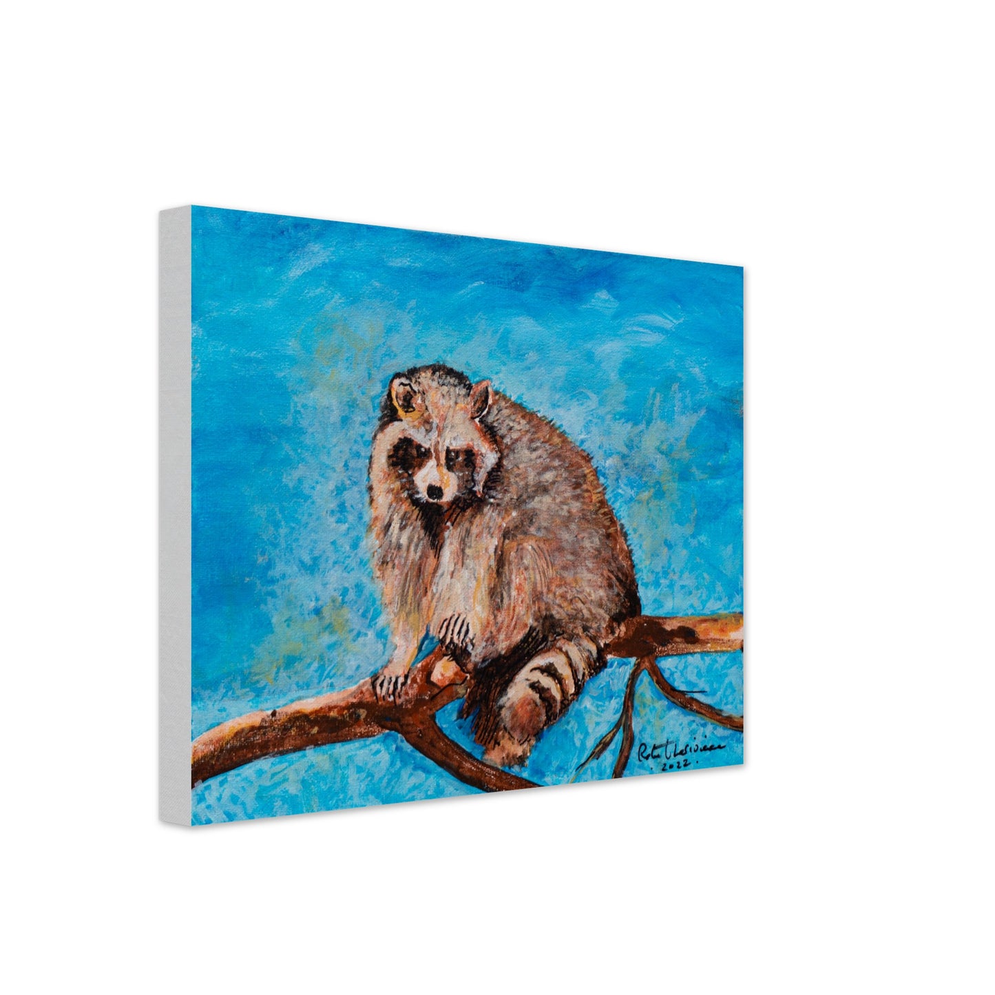 Big Raccoon - Canvas