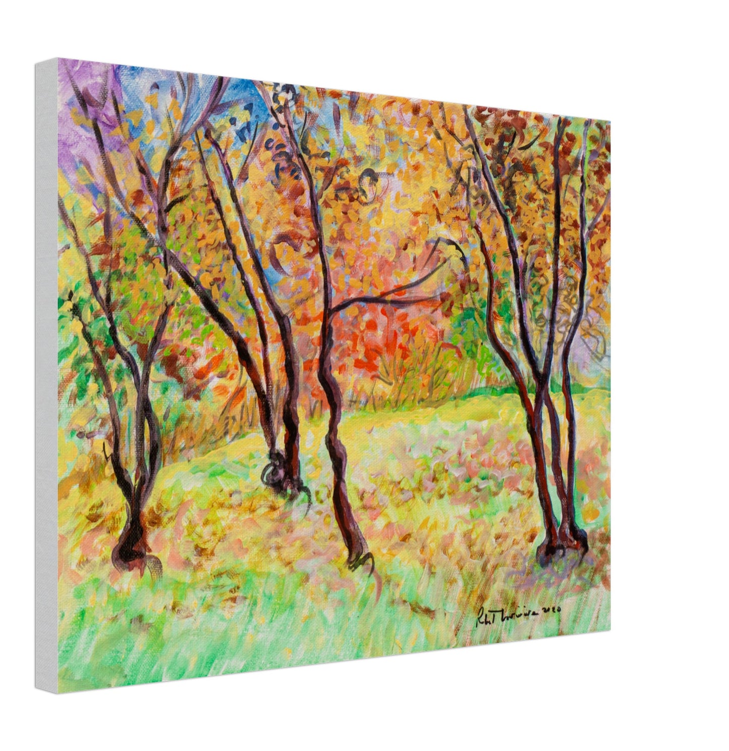 Colourful Trees - Canvas