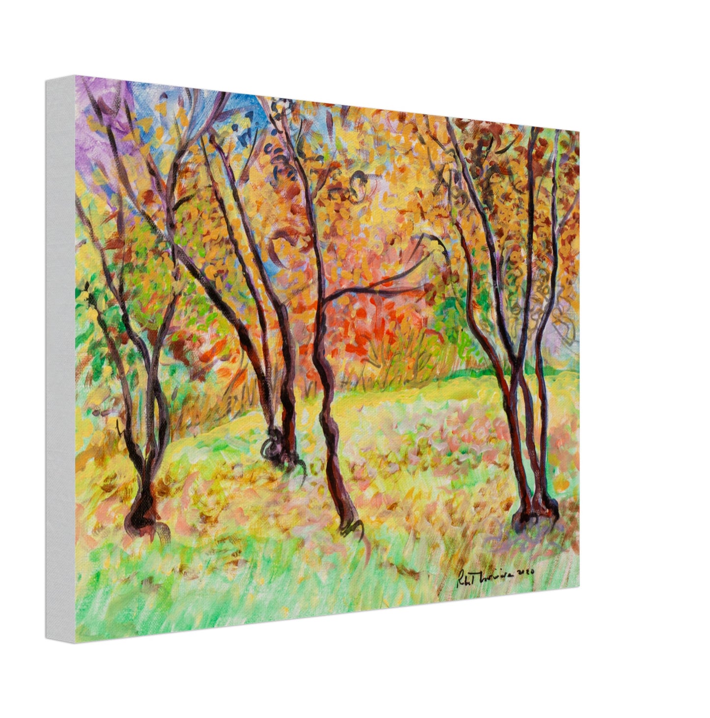 Colourful Trees - Canvas