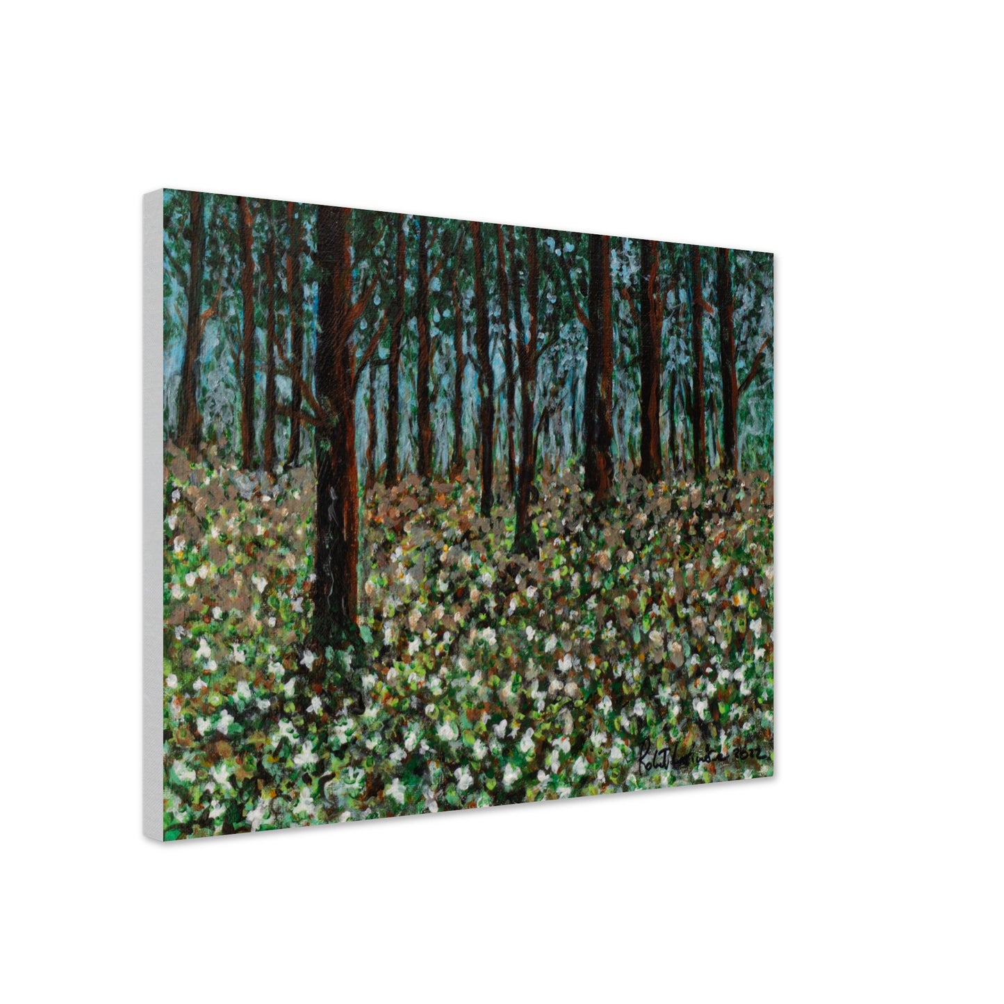 Trilliums - Canvas