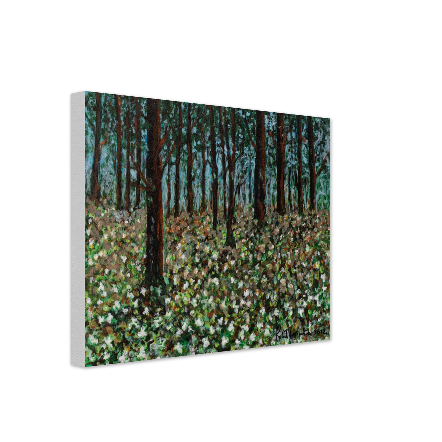 Trilliums - Canvas