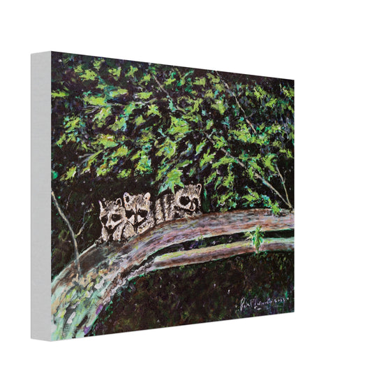 Three Little Raccoons - Canvas