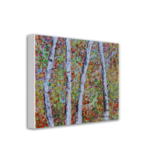 Fall Birch Trees - Canvas