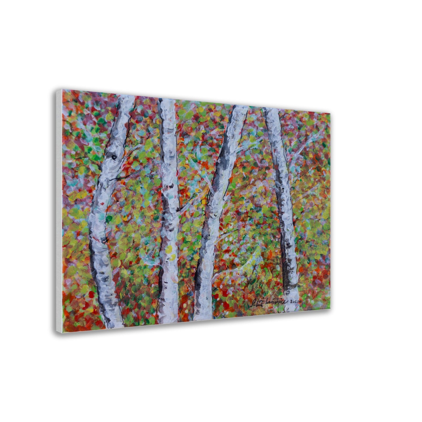 Fall Birch Trees - Canvas