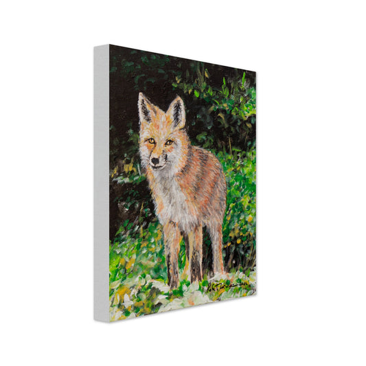 Red Fox - Canvas