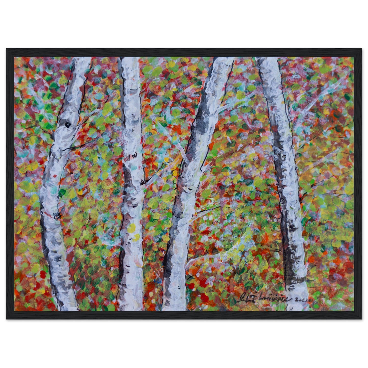 Fall Birch Trees - Premium Poster