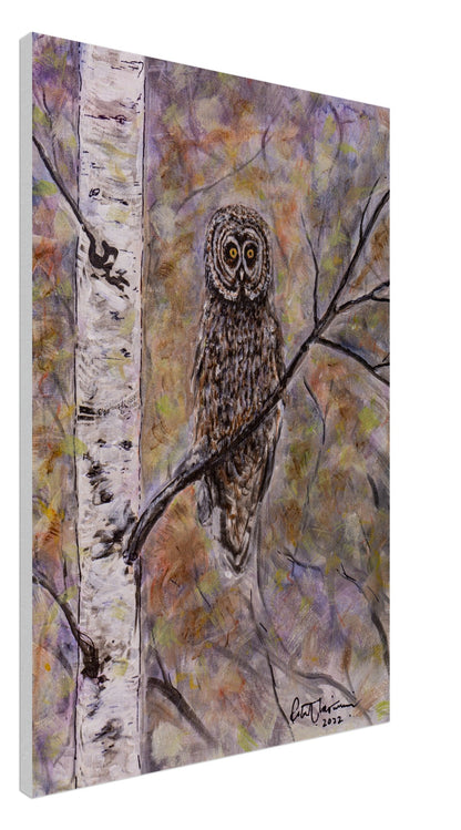 Owl in Birch - Canvas