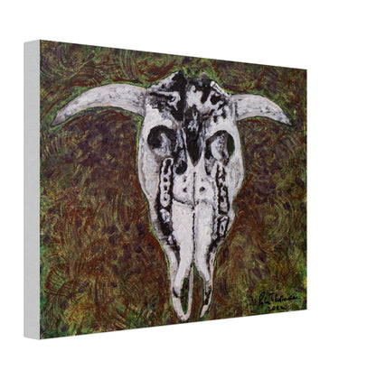 Cattle Skull - Canvas