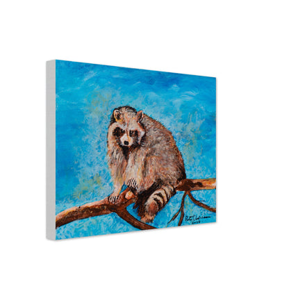 Big Raccoon - Canvas