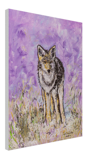 Lone Coyote - Canvas