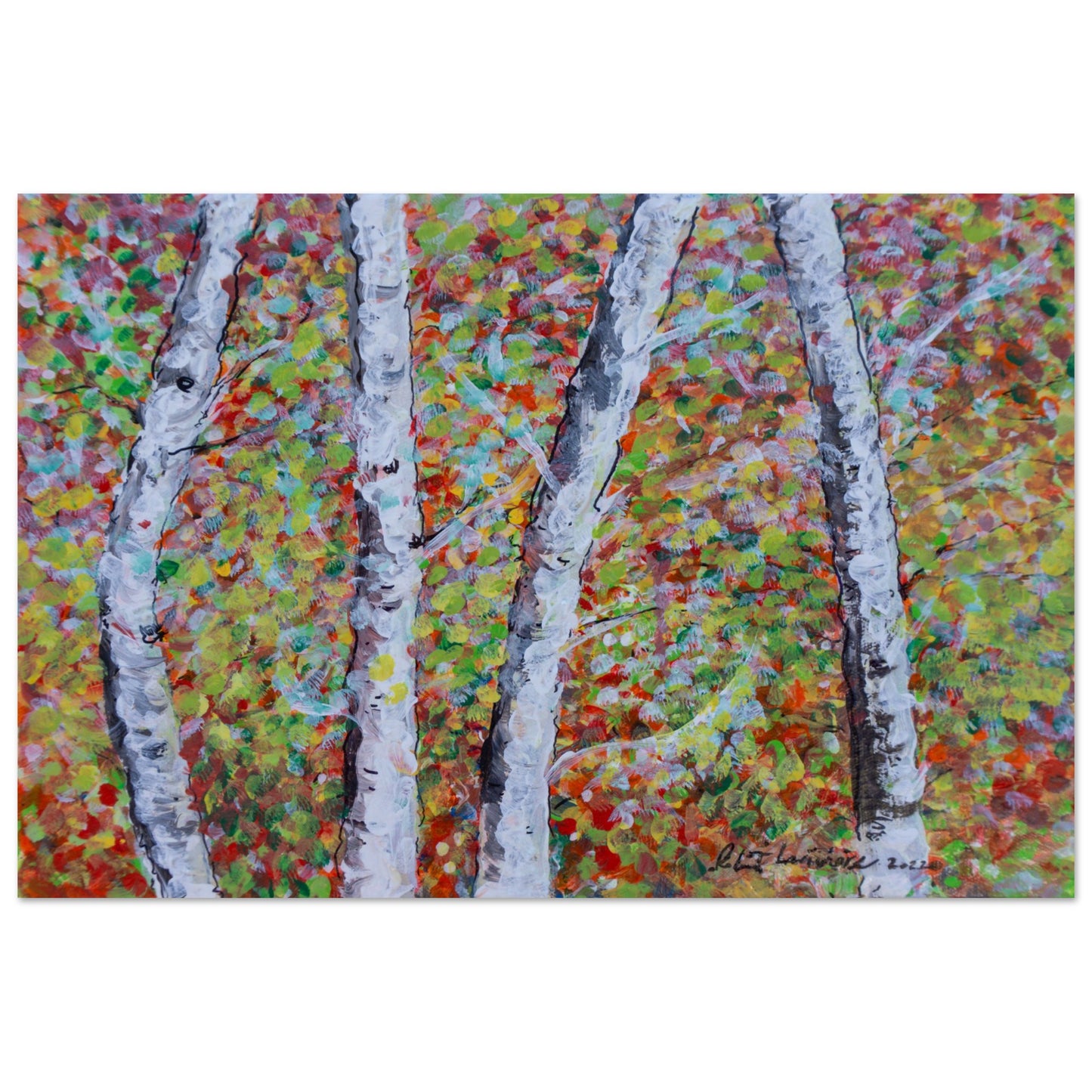 Fall Birch Trees - Others