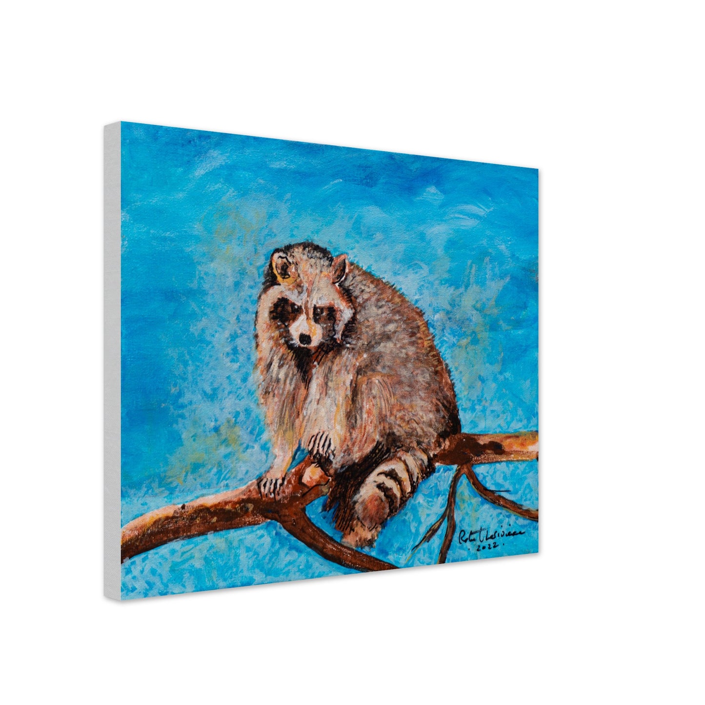 Big Raccoon - Canvas