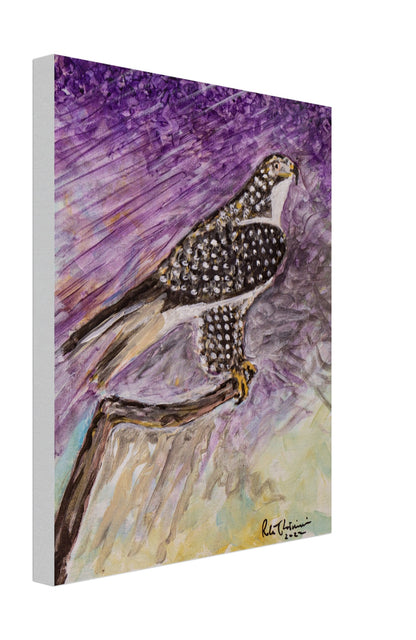 Red-Tailed Hawk - Canvas