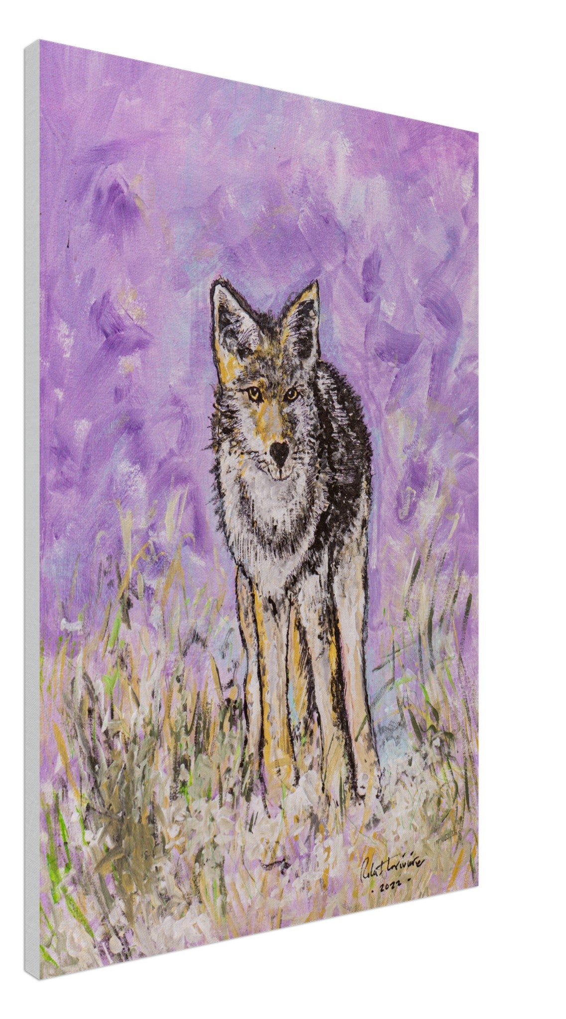 Lone Coyote - Canvas