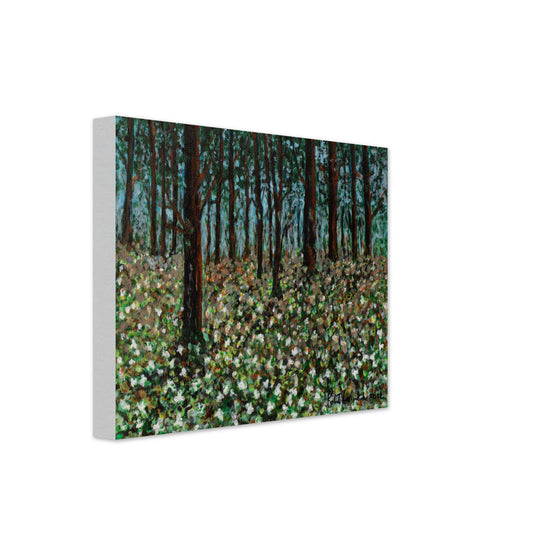 Trilliums - Canvas