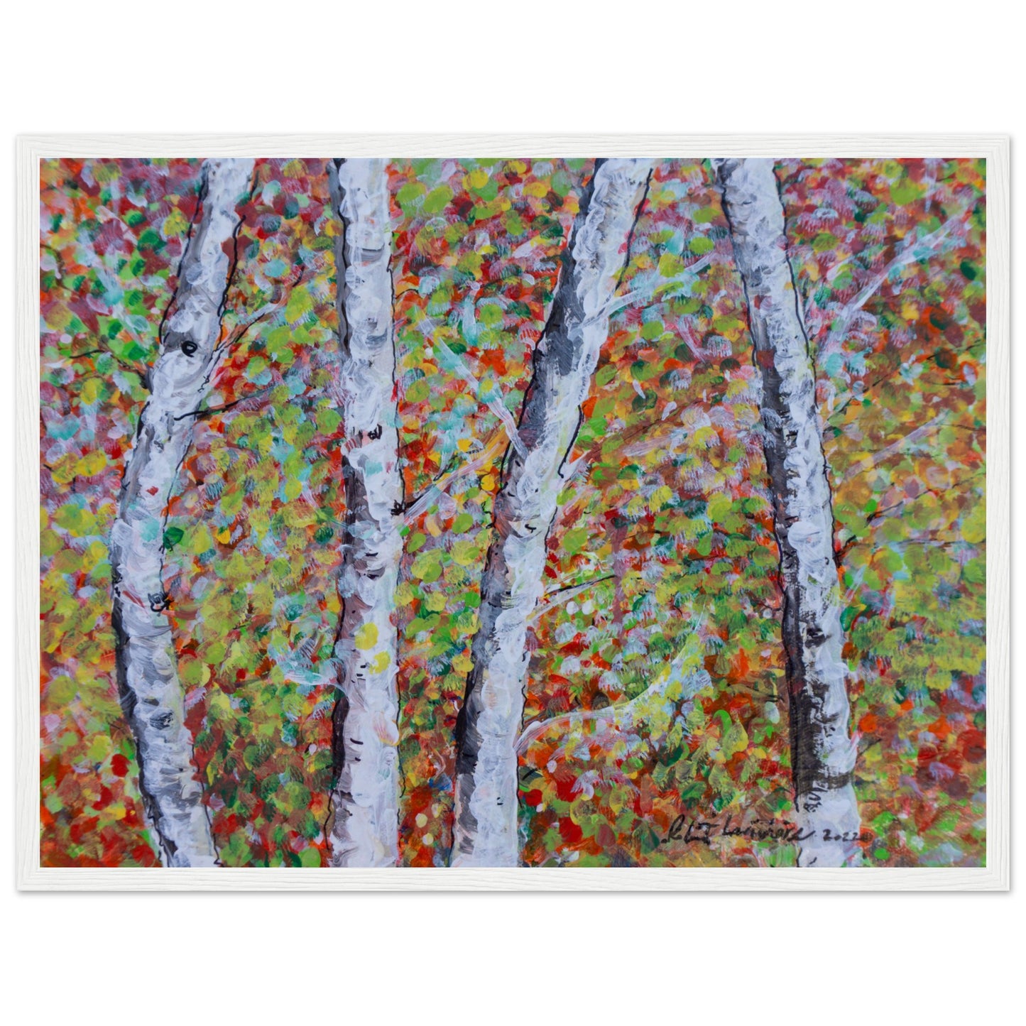 Fall Birch Trees - Premium Poster