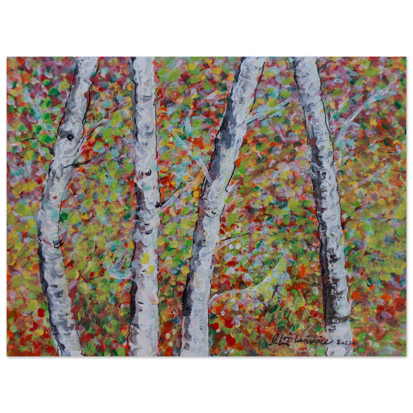 Fall Birch Trees - Others