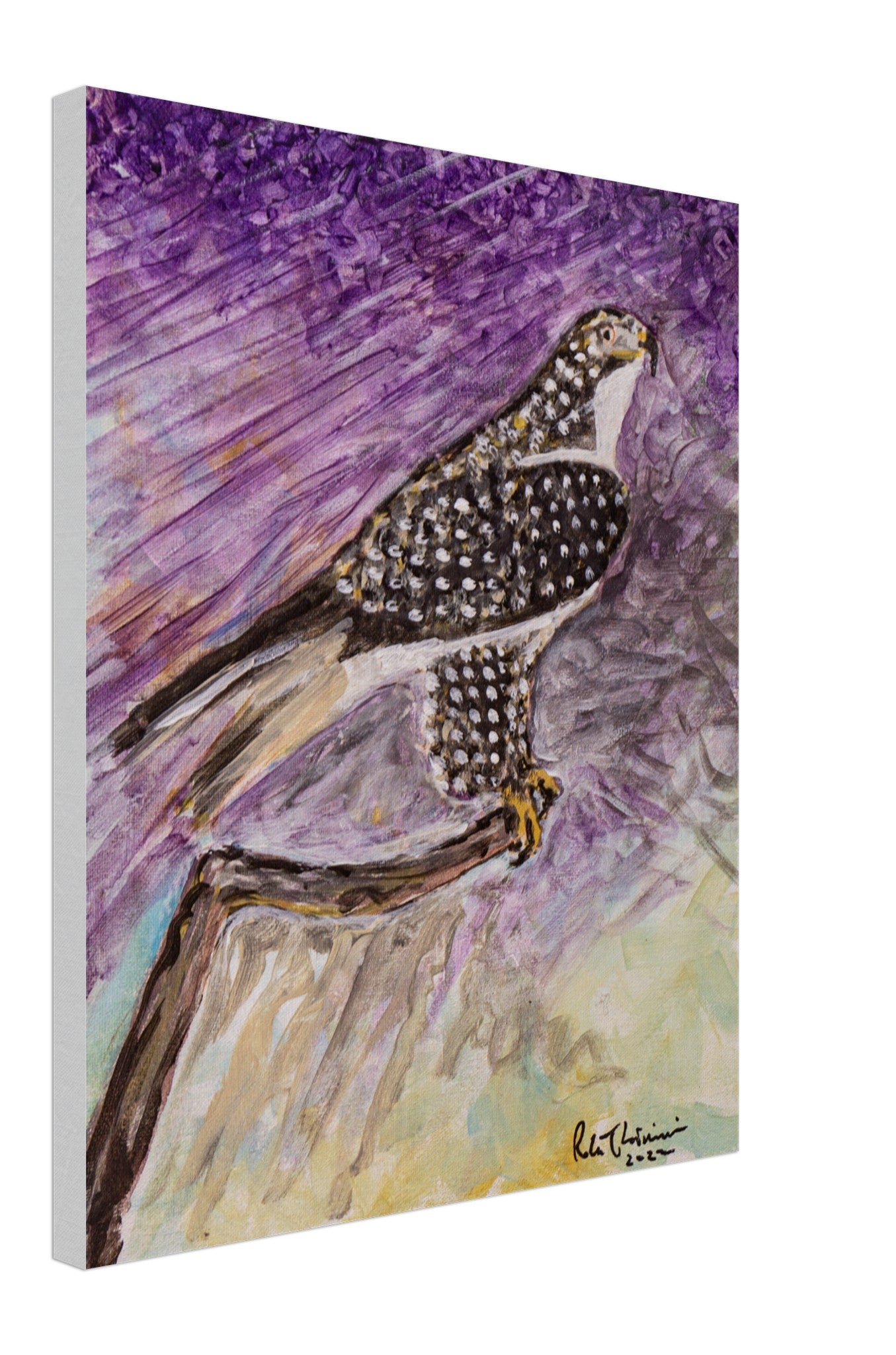 Red-Tailed Hawk - Canvas