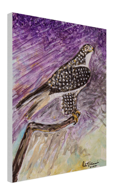 Red-Tailed Hawk - Canvas