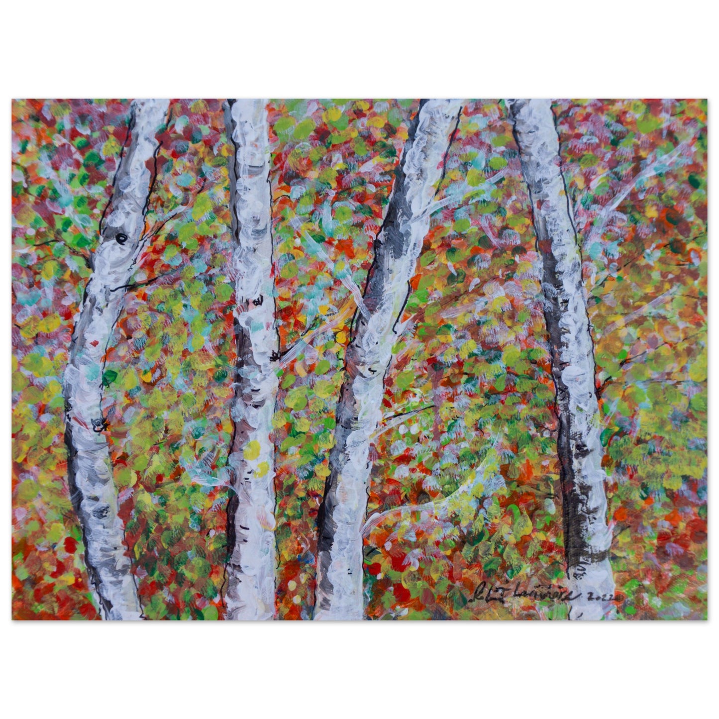 Fall Birch Trees - Premium Poster