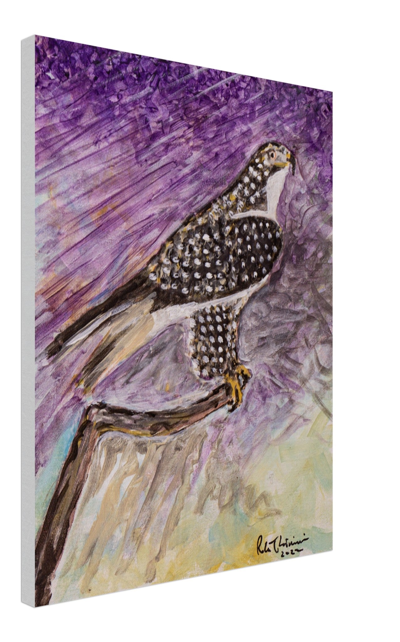 Red-Tailed Hawk - Canvas