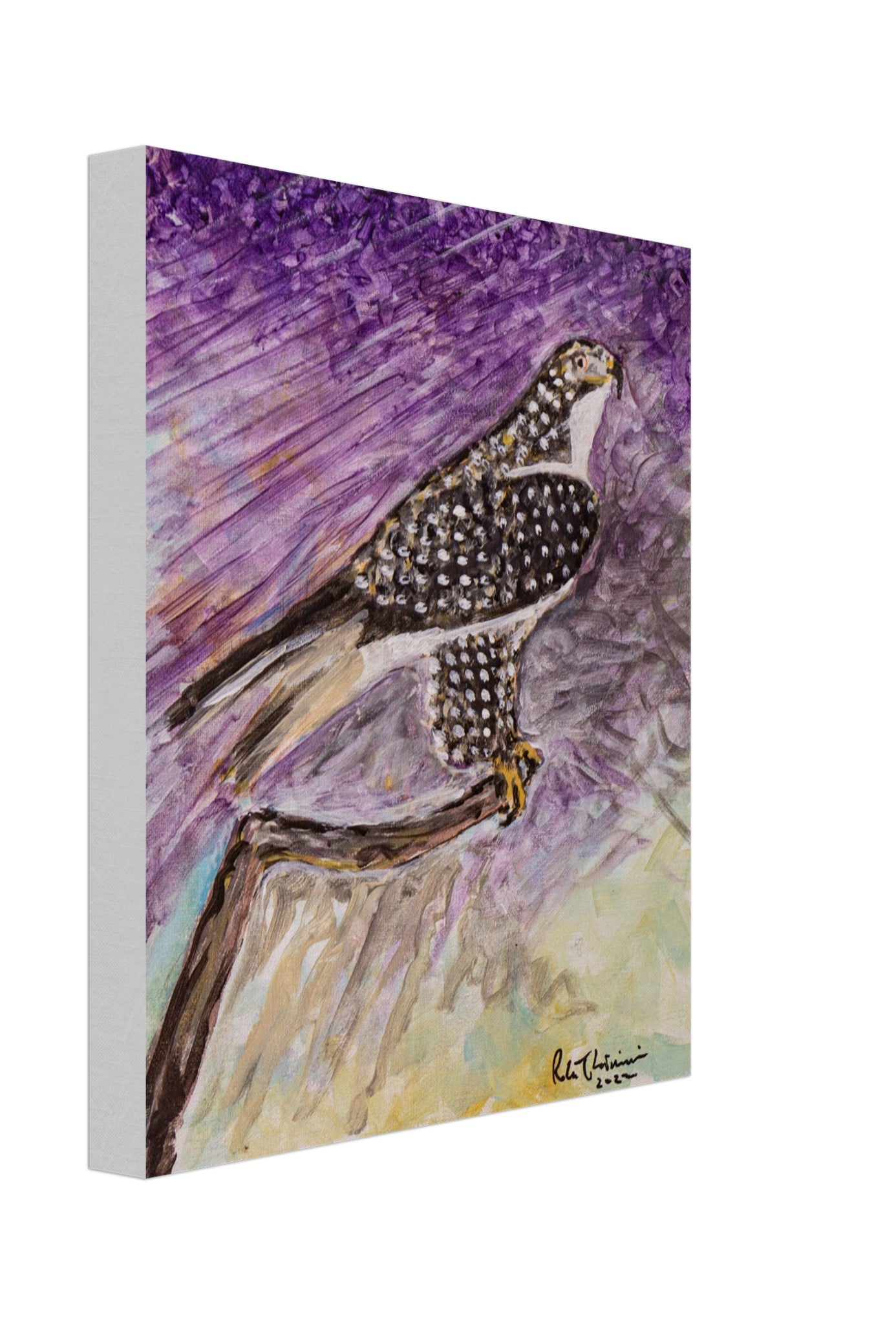 Red-Tailed Hawk - Canvas