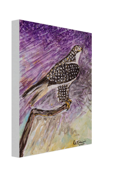 Red-Tailed Hawk - Canvas