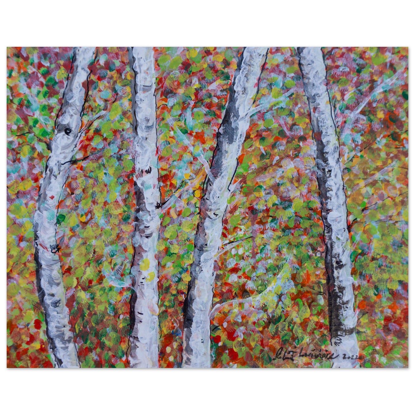 Fall Birch Trees - Premium Poster