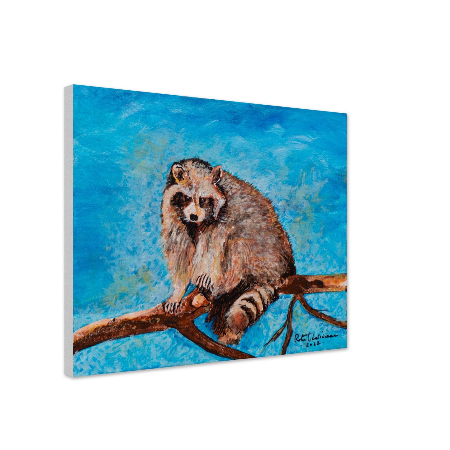 Big Raccoon - Canvas