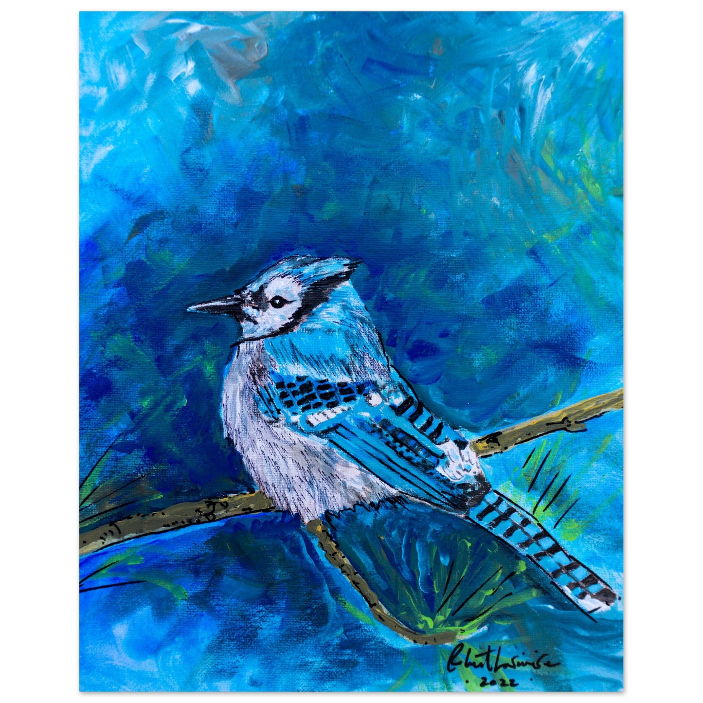 Blue Jay #1 - Premium Poster