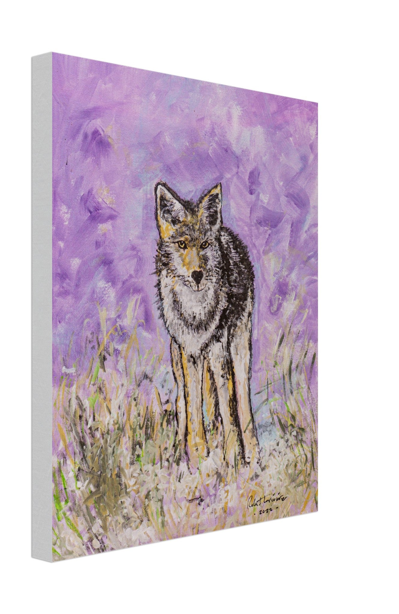 Lone Coyote - Canvas