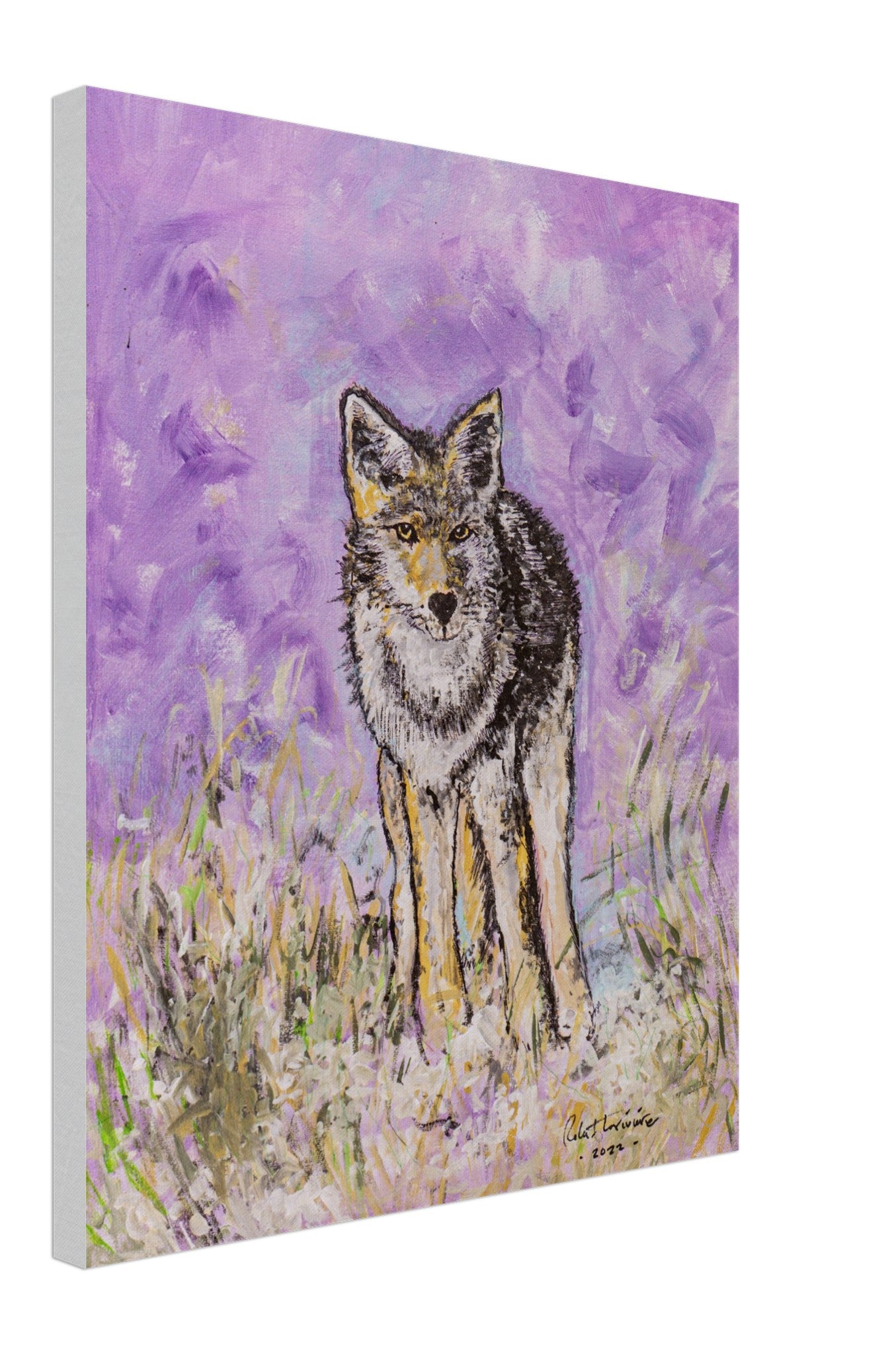 Lone Coyote - Canvas