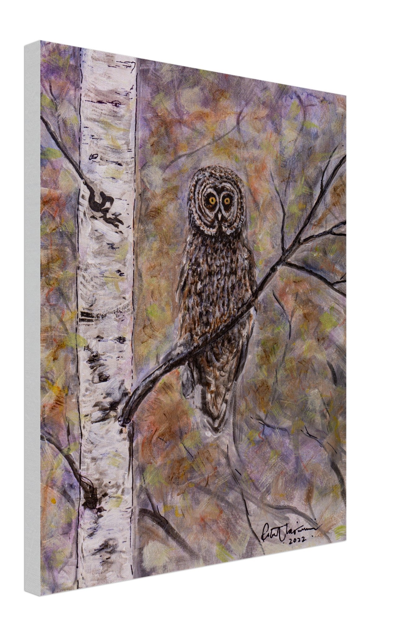 Owl in Birch - Canvas
