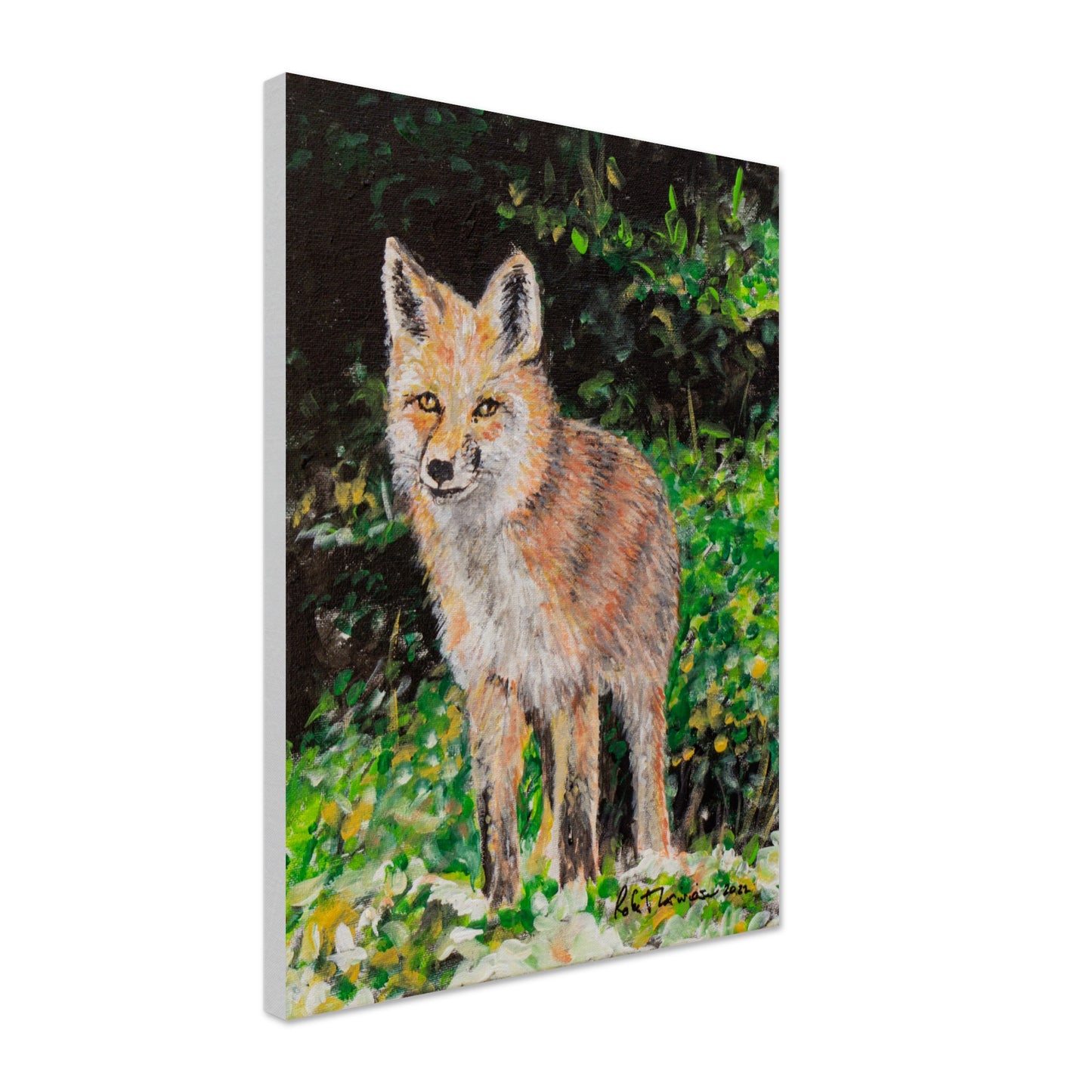 Red Fox - Canvas