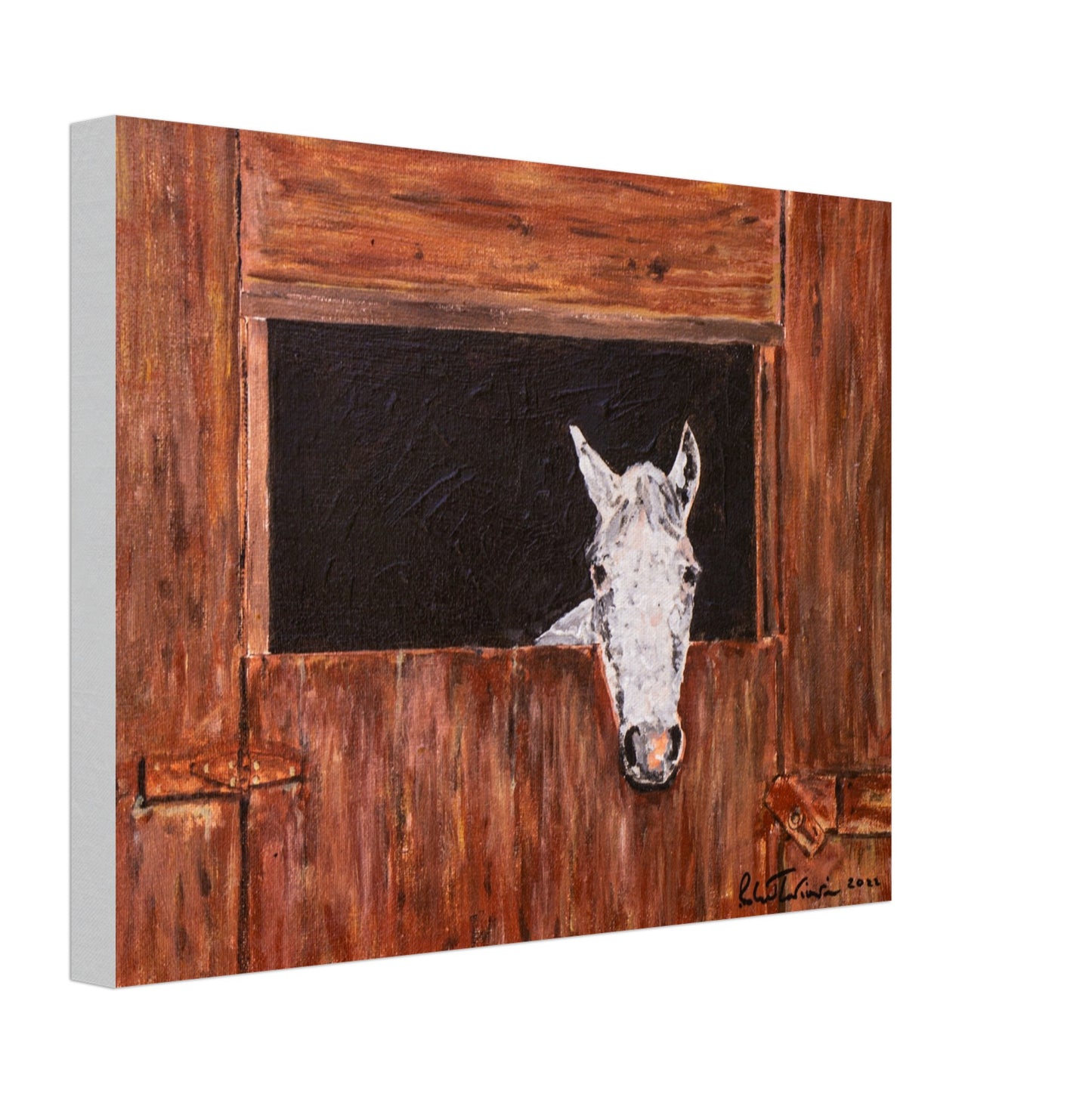 White Horse In Stall - Canvas
