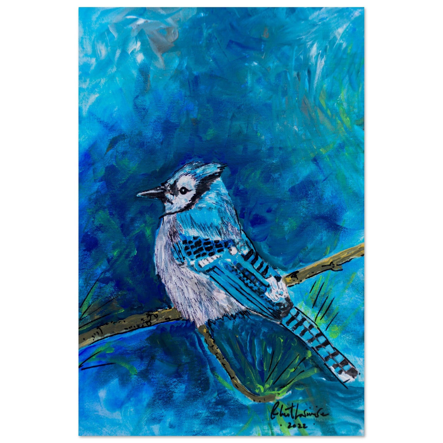 Blue Jay #1 - Others