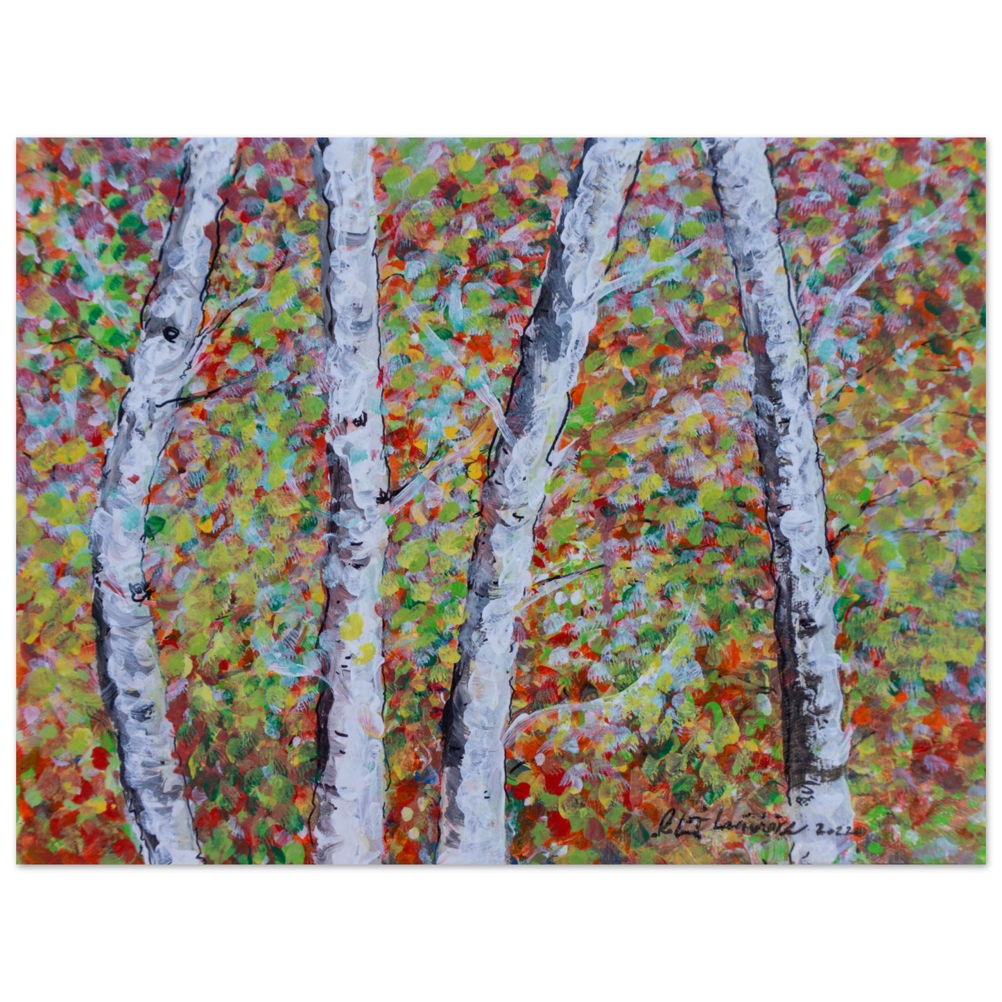 Fall Birch Trees - Premium Poster