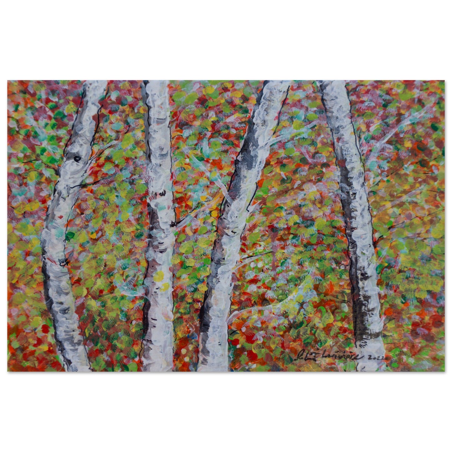 Fall Birch Trees - Others