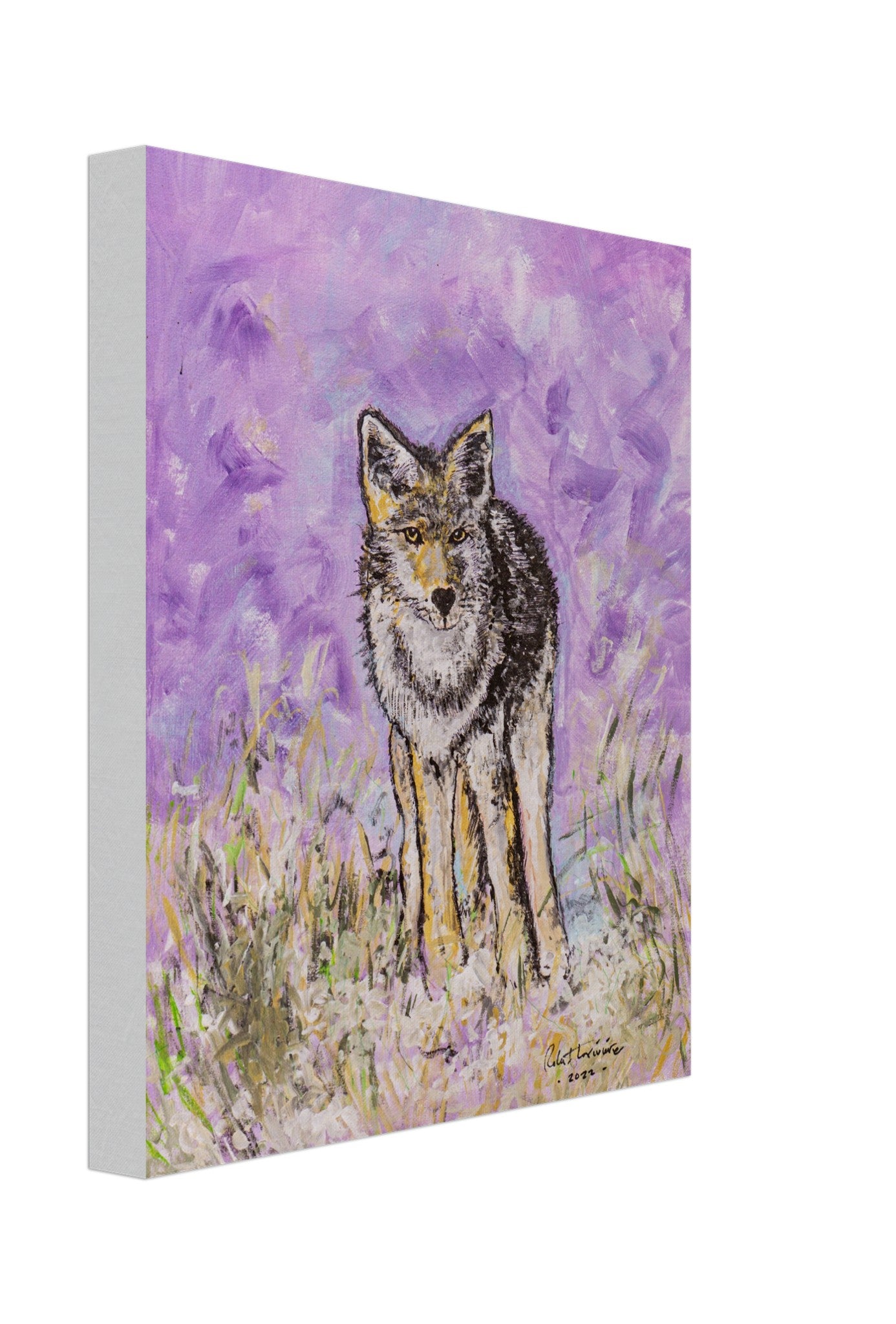 Lone Coyote - Canvas