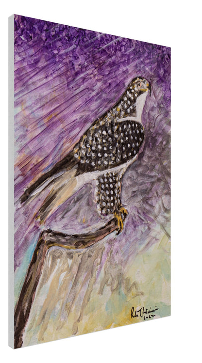 Red-Tailed Hawk - Canvas