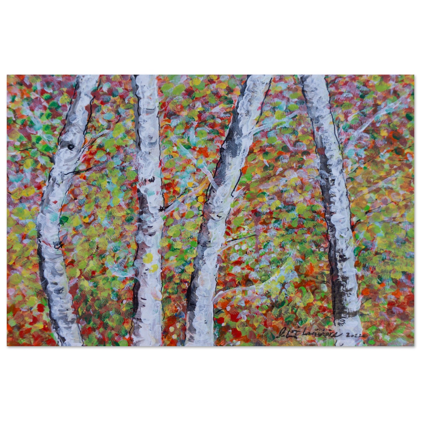 Fall Birch Trees - Premium Poster