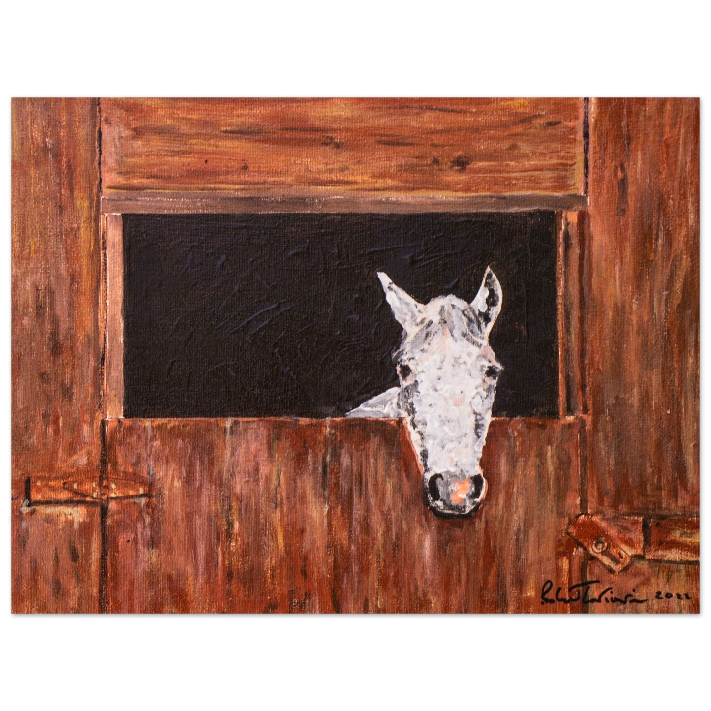 White Horse In Stall - Premium Poster