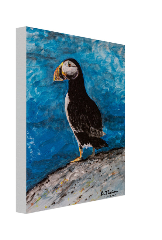 Puffin - Canvas