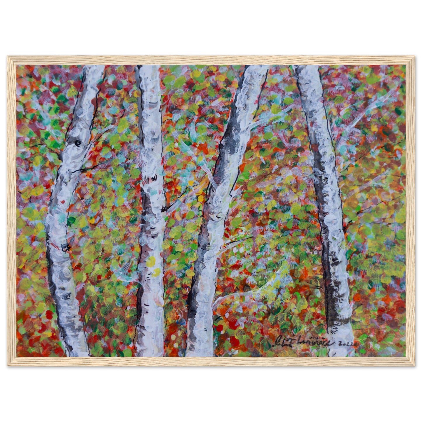 Fall Birch Trees - Premium Poster