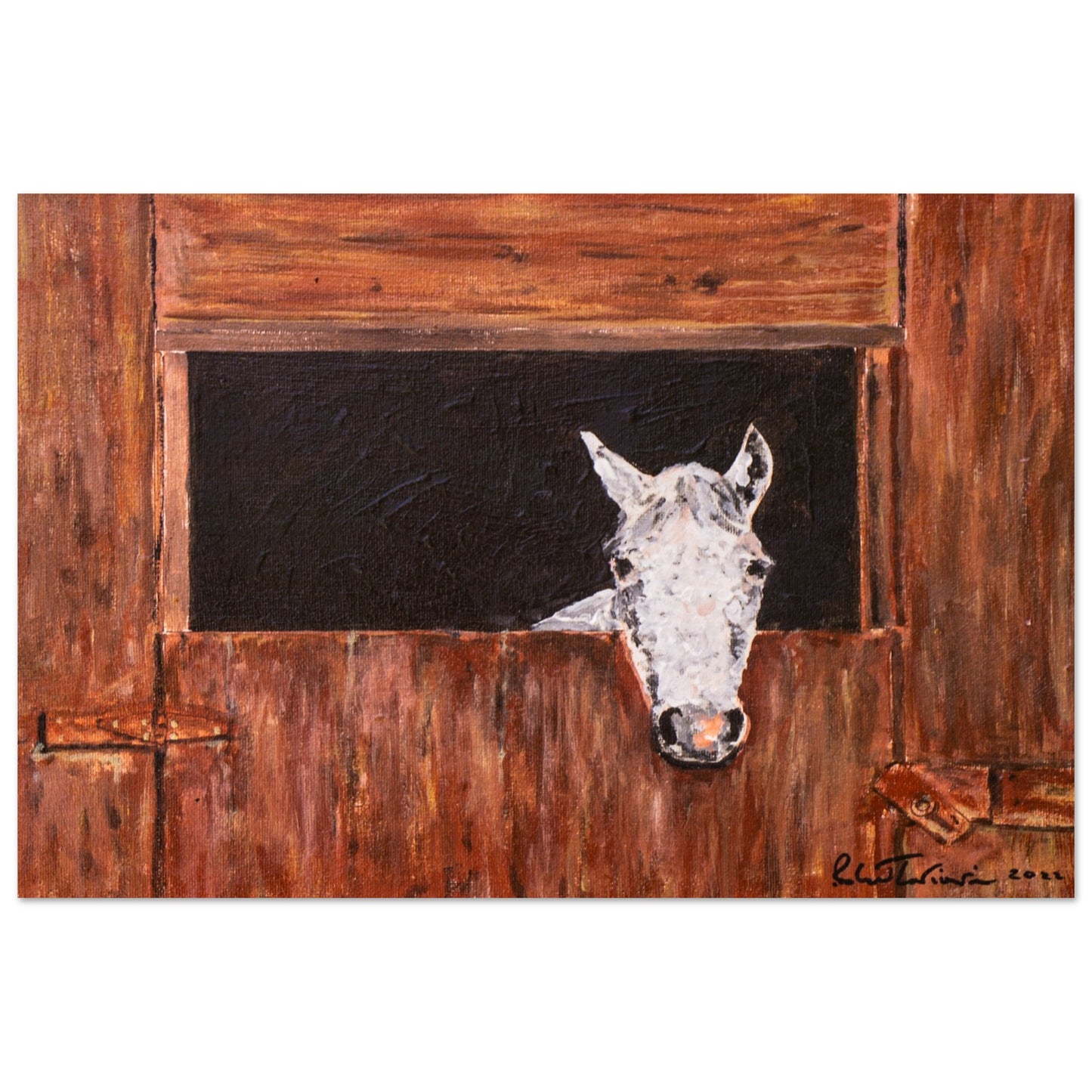 White Horse In Stall - Premium Poster