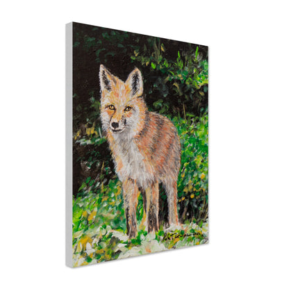 Red Fox - Canvas
