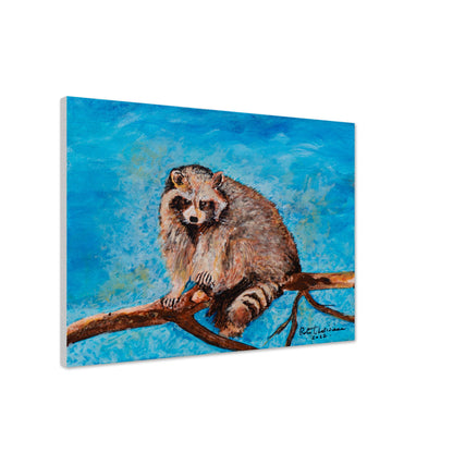Big Raccoon - Canvas