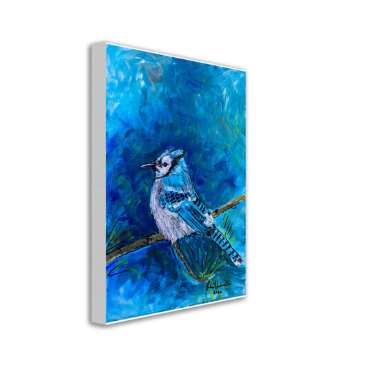 Blue Jay #1 - Canvas